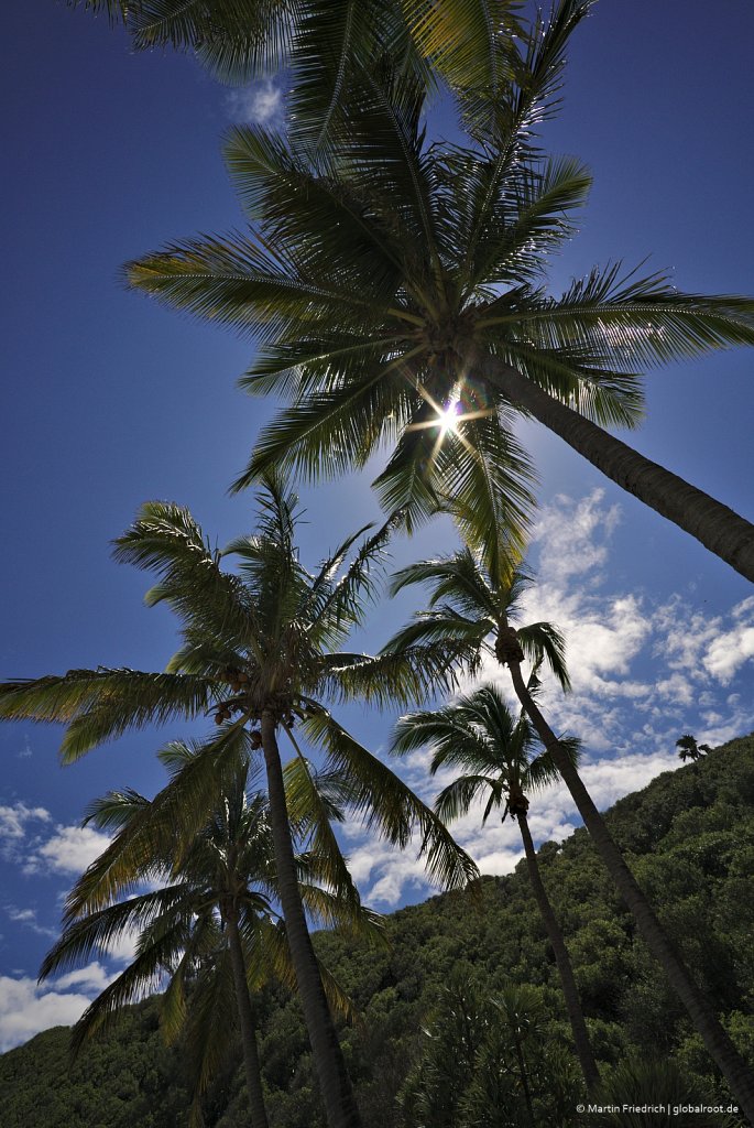 la réunion lé doss